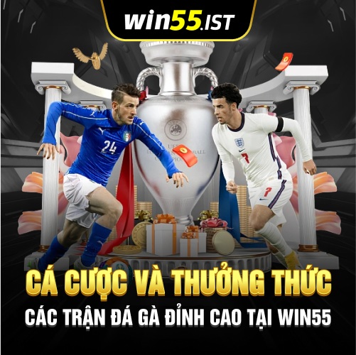 Cá Cược Và Thưởng Thức Các Trận Đá Gà Đỉnh Cao Tại WIN55