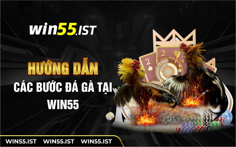 Hướng dẫn các bước đá gà tại WIN55