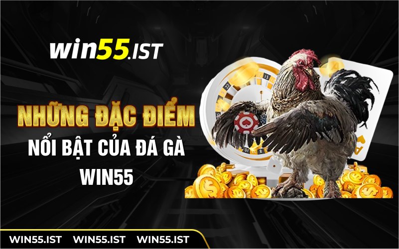 Những đặc điểm nổi bật của đá gà WIN55