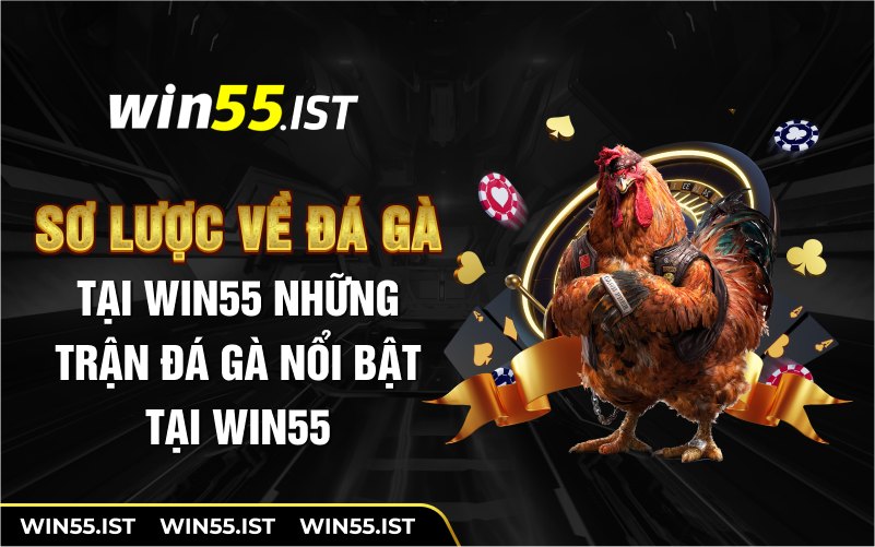 Sơ lược về đá gà tại WIN55 những trận đá gà nổi bật tại WIN55