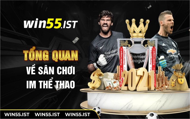 Tổng qua về sân chơi IM thể thao 